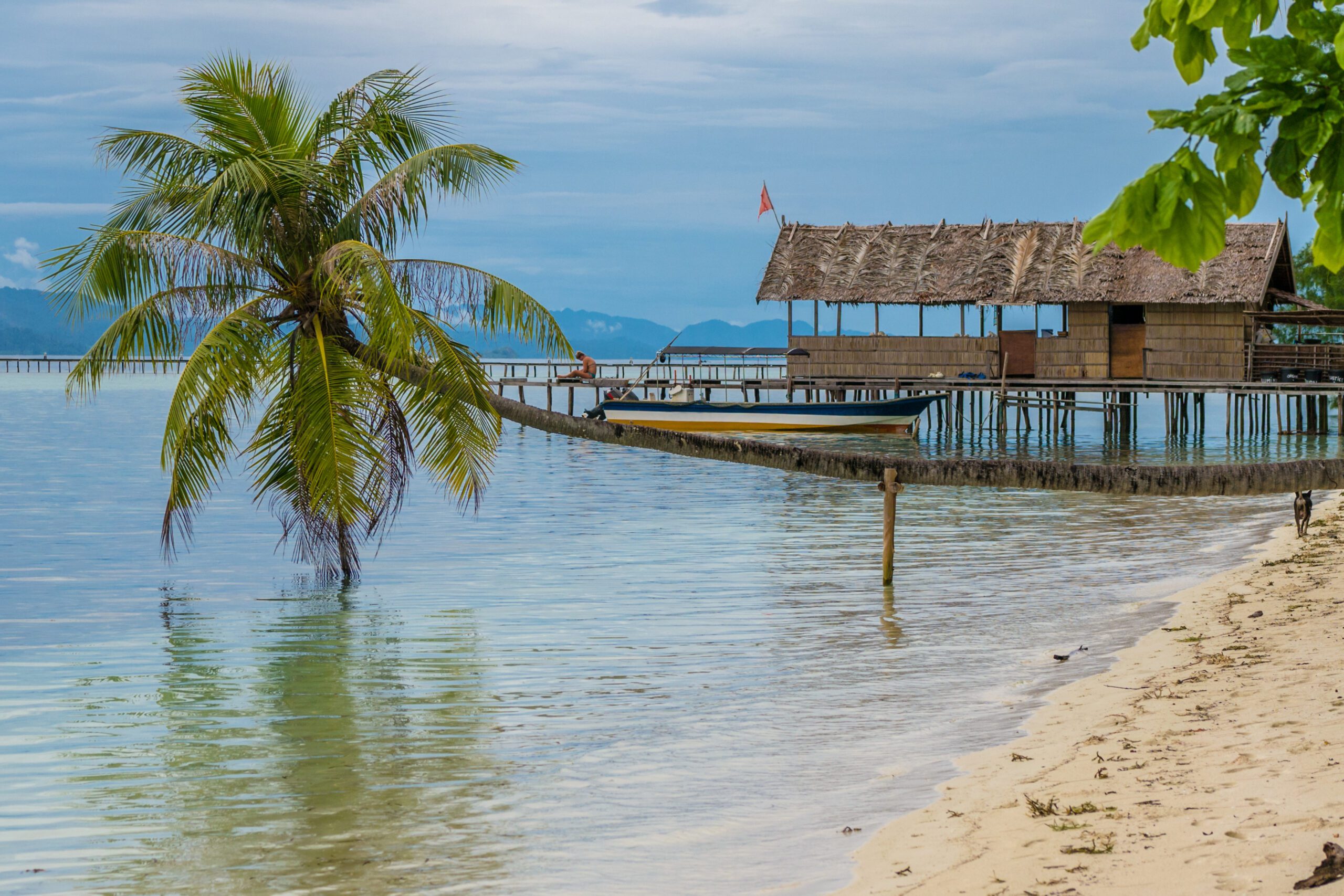 Rustic wooden hut with a thatched roof built on stilts over calm turquoise water near a white sand beach, with a palm tree arching over the water.